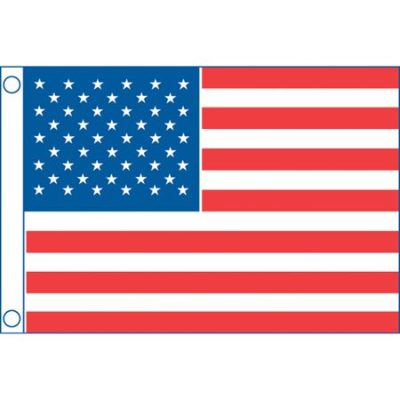 FLAG US 50 STAR 20X30