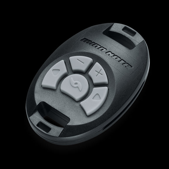 CO-PILOT REMTE PWR/DR BT