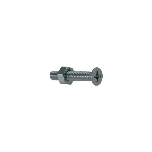 MCH/SCREW PH PHILLIPS 1/4" X 3.0" W/NUTS