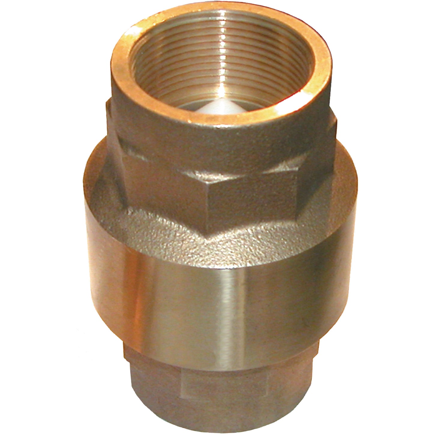 IN/LINE CHECK VLV 1.25"