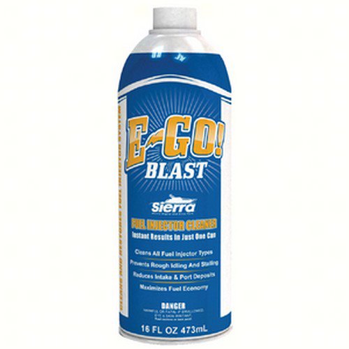 FUEL INJECTOR CLEANER