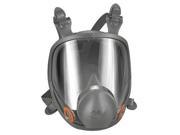 RSPRTR 6900 FUL FACE LRG