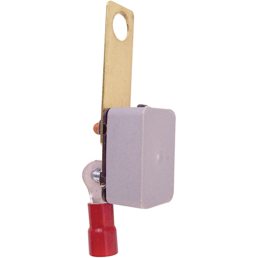 CIRCUIT BREAKER - MANUAL - 30 AMP