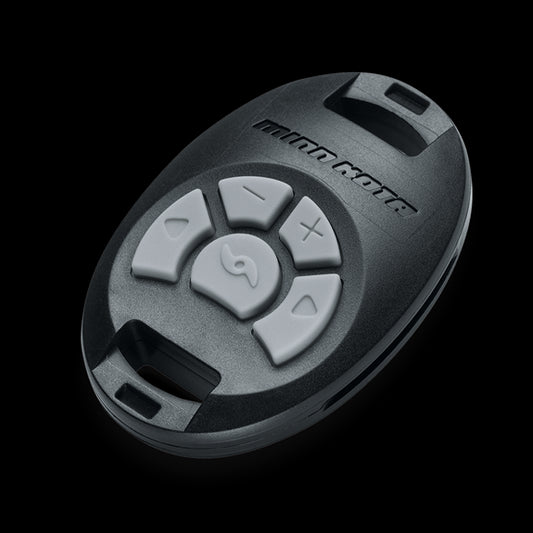 CO-PILOT REMTE PWR/DR BT